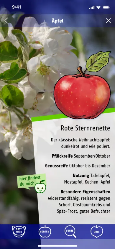 App Rote Sternrenette