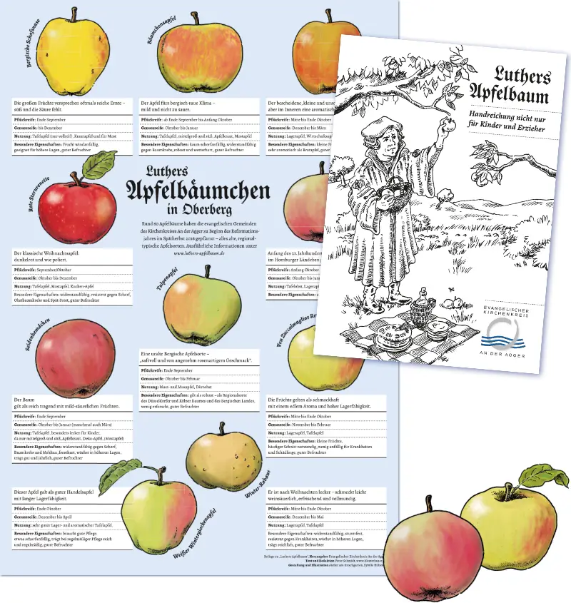 Abbildung einer Broschüre und eines Posters über den Anbau alter Apfelsorten im Lutherjahr 2017 im Bergischen Land.